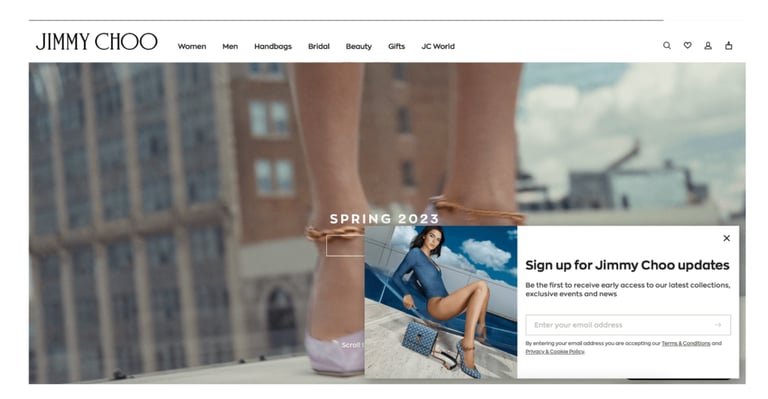 pop up - zapis do newslettera
