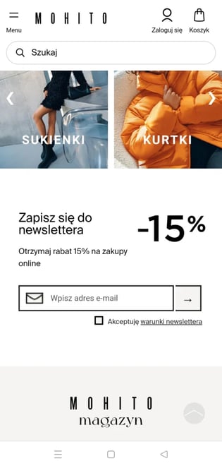 zapis do newslettera - przykład