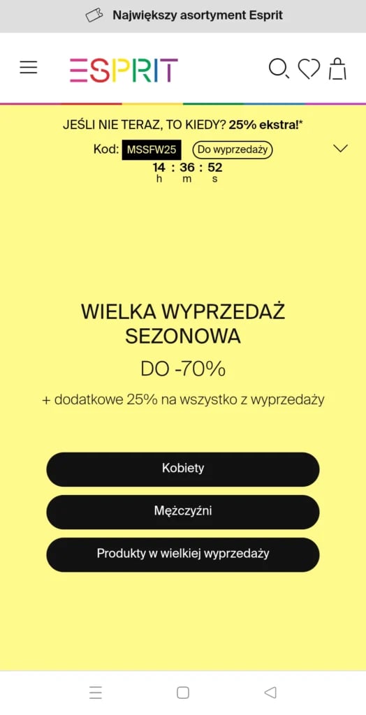 oferta promocyjna przykład