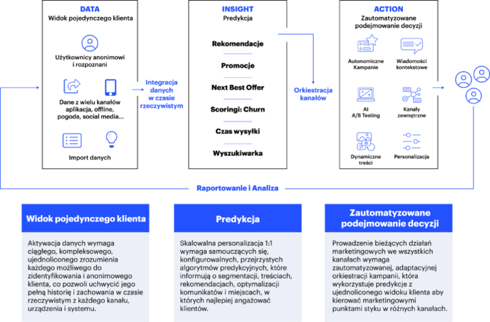 CDP (Customer Data Platform) 